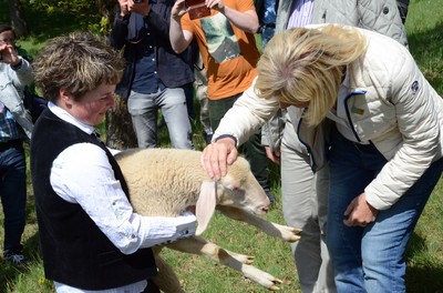 LIFE-Natur-Projekt "Heide-Allianz" in Harburg - eine Veranstaltung der BayernTourNatur.