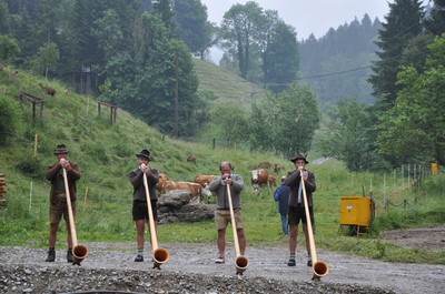 BayernNetzNatur-Projekt: "Modellvorhaben Landschaftspflege Adelegg" in Buchenberg im Kreuzbachthal.
(Foto: Planungsbüro PAN GmbH)