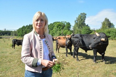 Exkursion in das Naturschutzgebiet "Grubenfelder Leonie" im Rahmen der BayernTourNatur. 