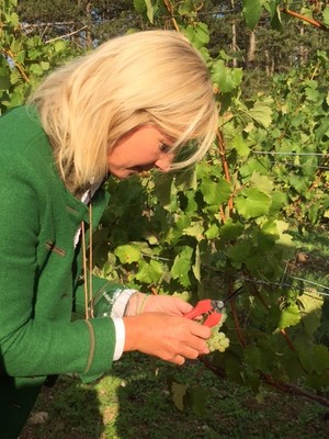 Bei der Besichtigung von Weingut Schloss Saaleck, einem Dachmarke Rhön Partnerbetrieb stand das für ein Biosphärenreservat nachhaltige Wirtschaften im Vordergrund.