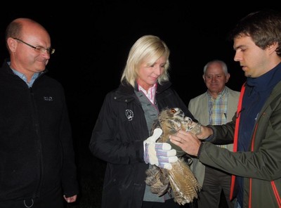 Im Juni hat der Landesbund für Vogelschutz die Pflege eines verwaisten Jung-Uhus aus dem Landkreis Regensburg übernommen. Das Tier hat sich in den vergangenen Wochen in der LBV-Vogelstation in Regenstauf gut erholt. Ich durfte ihn nun gemeinsam mit dem LBV-Landesvorsitzenden Dr. Norbert Schäffer wieder in die Freiheit entlassen. Alles Gute!