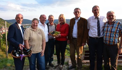 Informationsbesuch in Klingenberg. Zentrales Thema war u.a. das Wassermanagement im Weinberg, ein Aspekt der im Zusammenhang mit dem Klimawandel immer dringlicher wird.