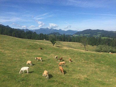 Traditionelle Hauptalmbegehung der oberbayerischen Almbauern.