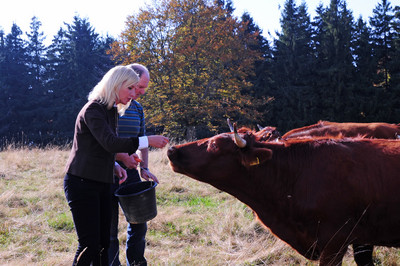 Besuch im Nationalpark Bayerischer Wald - tierische Begegnung auf einer der wunderschönen Schachten.