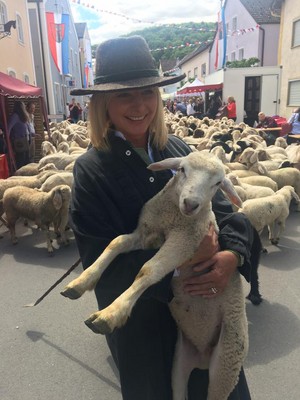 "Altmühltaler Lamm" Auftrieb 2017 in Mörnsheim!