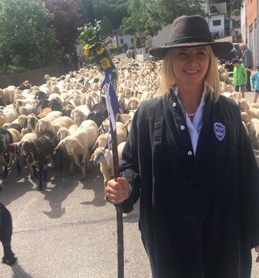 "Altmühltaler Lamm" Auftrieb 2017 in Mörnsheim!